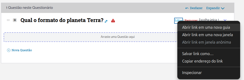 Estruturação/inserção de questões no Questionário (VT) 9 image 2 em Pluriverso